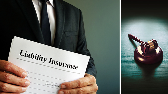 Notable Professional Liability Insurance Decisions of 2024